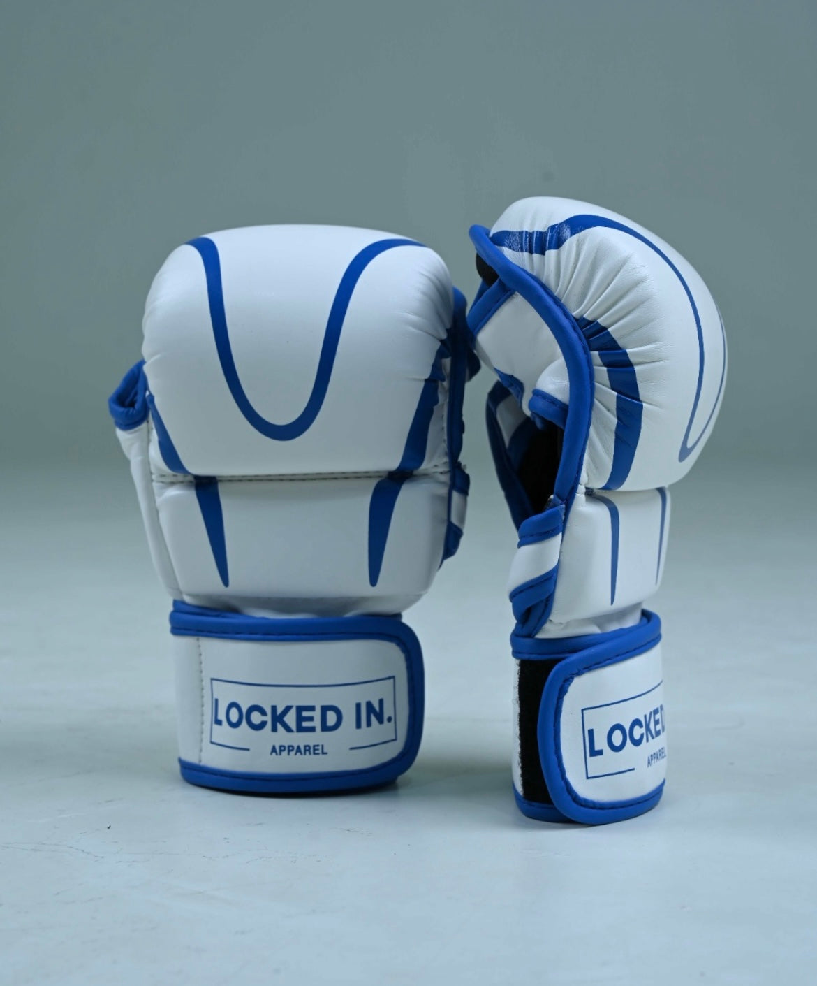 LI MMA Sparring Gloves