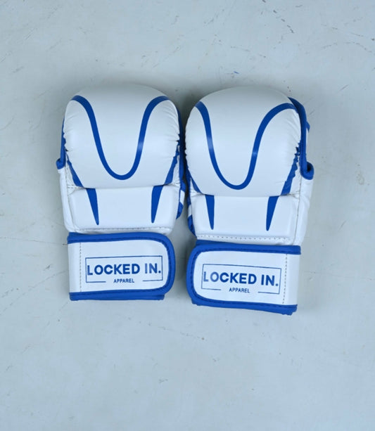 LI MMA Sparring Gloves